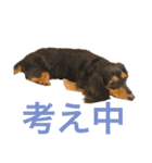 ☆Rinのお返事☆（個別スタンプ：26）
