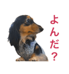 ☆Rinのお返事☆（個別スタンプ：29）