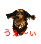 ☆Rinのお返事☆（個別スタンプ：30）