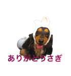 ☆Rinのお返事☆（個別スタンプ：33）
