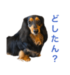 ☆Rinのお返事☆（個別スタンプ：37）