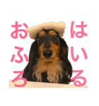 ☆Rinのお返事☆（個別スタンプ：39）