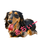 ☆Rinのお返事☆（個別スタンプ：40）