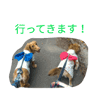 二匹の癒しスタンプ♪（個別スタンプ：6）