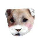 wwwwwwwwwwwxw（個別スタンプ：1）