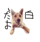 wwwwwwwwwwwxw（個別スタンプ：2）