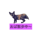 000cats0004（個別スタンプ：1）