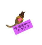 000cats0004（個別スタンプ：9）