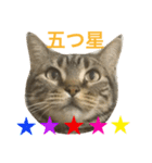 メタルさん 4（個別スタンプ：2）