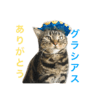 メタルさん 4（個別スタンプ：8）