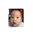 頑張る息子2（個別スタンプ：15）