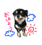 諭吉スタンプ（個別スタンプ：1）
