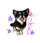 諭吉スタンプ（個別スタンプ：4）