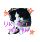 loooveee（個別スタンプ：1）