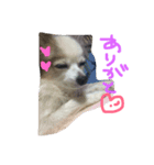 loooveee（個別スタンプ：5）