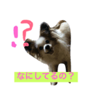 loooveee（個別スタンプ：6）