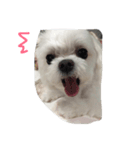 Life of Baby Ha（個別スタンプ：7）