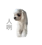 Life of Baby Ha（個別スタンプ：10）