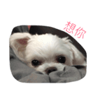 Life of Baby Ha（個別スタンプ：14）
