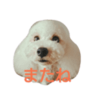 今日の空くん（個別スタンプ：4）
