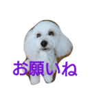 今日の空くん（個別スタンプ：5）