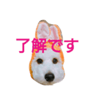 今日の空くん（個別スタンプ：6）