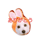 今日の空くん（個別スタンプ：8）