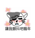 XD good cat（個別スタンプ：2）