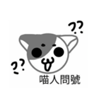 XD good cat（個別スタンプ：4）