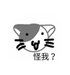XD good cat（個別スタンプ：10）