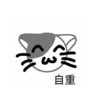 XD good cat（個別スタンプ：11）