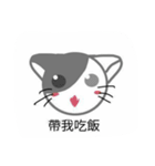 XD good cat（個別スタンプ：15）