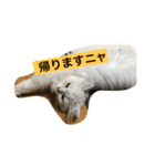 churasan（個別スタンプ：5）