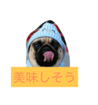 I'm home momo（個別スタンプ：4）