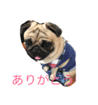 I'm home momo（個別スタンプ：6）