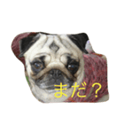 umechanstamp（個別スタンプ：6）