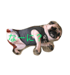 umechanstamp（個別スタンプ：7）