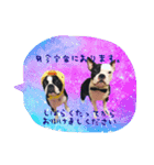 チキンとこうしの日常会話スタンプ（個別スタンプ：5）