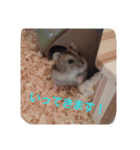 ハムの1日（個別スタンプ：2）