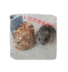 ハムの1日（個別スタンプ：3）