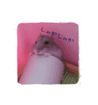 ハムの1日（個別スタンプ：7）