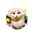ともぐりちゃん2（個別スタンプ：2）
