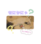 ともぐりちゃん2（個別スタンプ：3）
