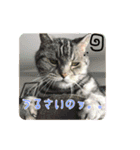 ともぐりちゃん2（個別スタンプ：5）