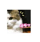 ともぐりちゃん2（個別スタンプ：8）