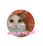 ともぐりちゃん2（個別スタンプ：14）