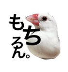 rice bird LIFE（個別スタンプ：4）