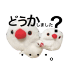 rice bird LIFE（個別スタンプ：7）
