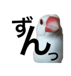 rice bird LIFE（個別スタンプ：8）