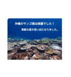 沖縄の海風景絵葉書と海中生物の日常会話3（個別スタンプ：1）
